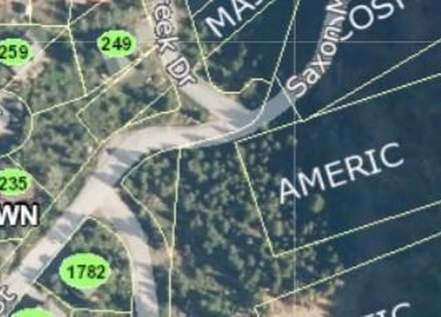 Property at Saxon Mountain Rd, Georgetown, CO 80444