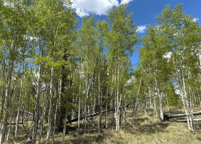 Property at 75 Ithaca Ln, Como, CO 80432