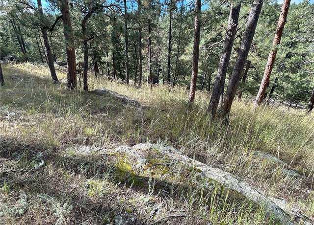 Property at 5233 S Road A, Evergreen, CO 80439