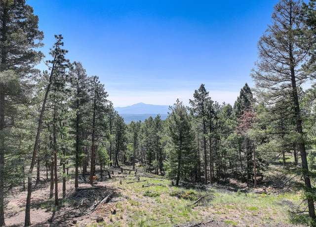 Property at 1002 Indian Creek Rd, Florissant, CO 80816