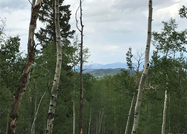Property at 739 Lumber Jack Rd, Fairplay, CO 80440