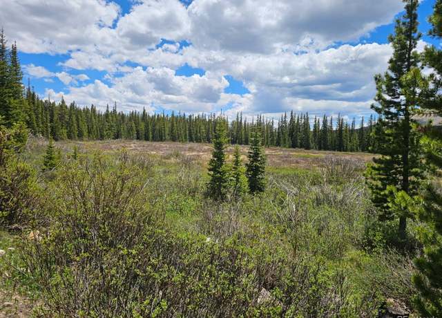 Property at 316 Gold Trl, Fairplay, CO 80440