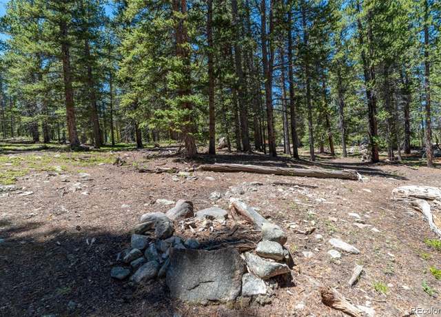 Property at 176 Gold Trail Cir, Fairplay, CO 80440