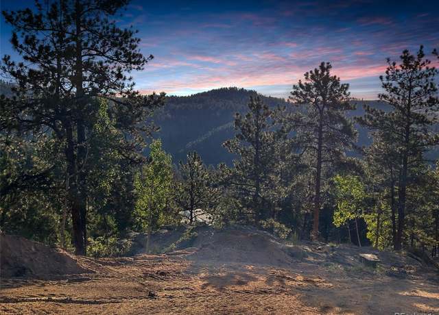 Property at 4501 County Road 72, Bailey, CO 80421