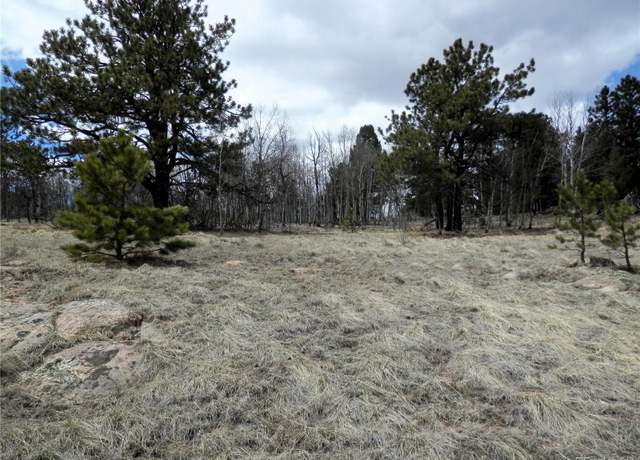 Property at 47 Hidden Valley Dr, Florissant, CO 80816