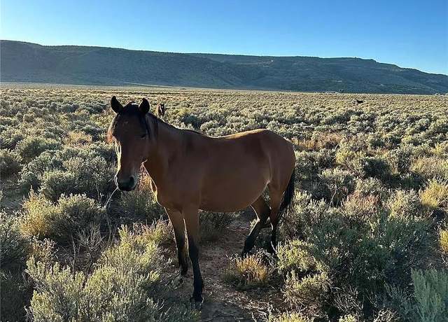 Property at 333 W Valley Dr, San Luis, CO 81152