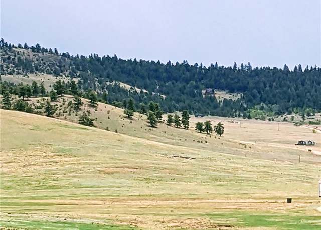Property at 42 Vitorio Trl, Hartsel, CO 80449