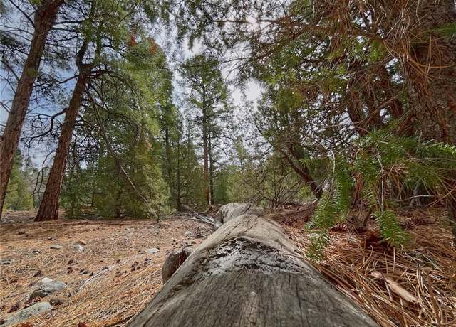 Property at 54 & 56 Big Bear Rd, Mosca, CO 81146