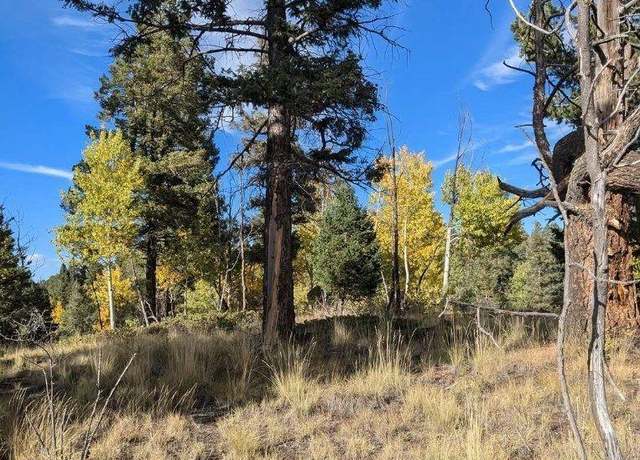 Property at 303 Viewcrest Way, Florissant, CO 80816