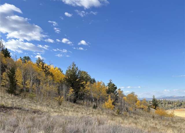 Property at 8494 Chickasaw Rd, Hartsel, CO 80449