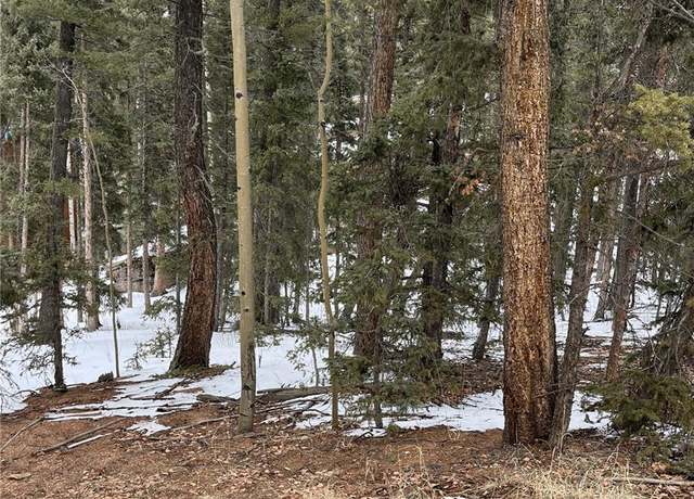 Property at 2763 N Mountain Estates Rd, Florissant, CO 80816