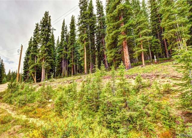 Property at 345 Bum Dr, Fairplay, CO 80440