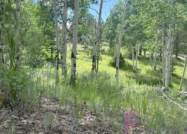 Property at 000 L12 Dilley Rd, Westcliffe, CO 81252