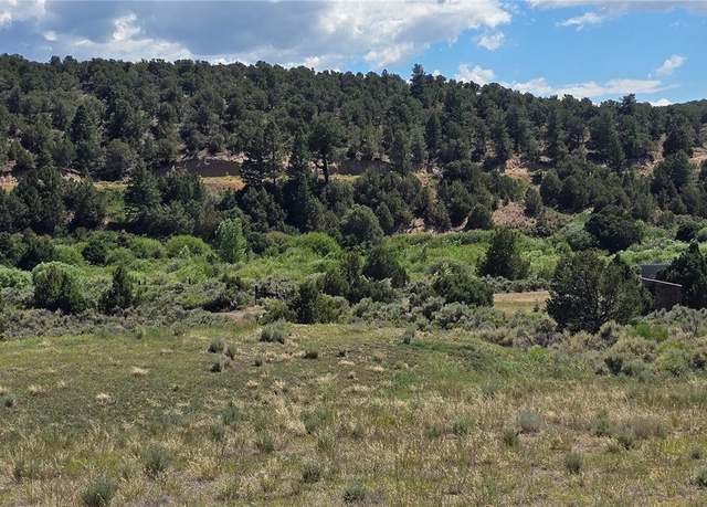 Property at Lots 4493 & 4494 Ehrenclow Rd, Fort Garland, CO 81133
