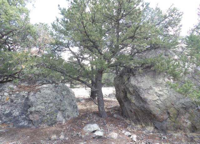 Property at 1794 Willow Creek Way, Crestone, CO 81131