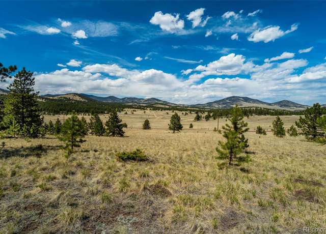 Property at 128 Nancy Ann Arroyo, Guffey, CO 80820