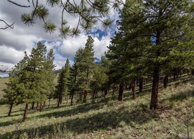 Property at 475 Cliff View Dr, Creede, CO 81130