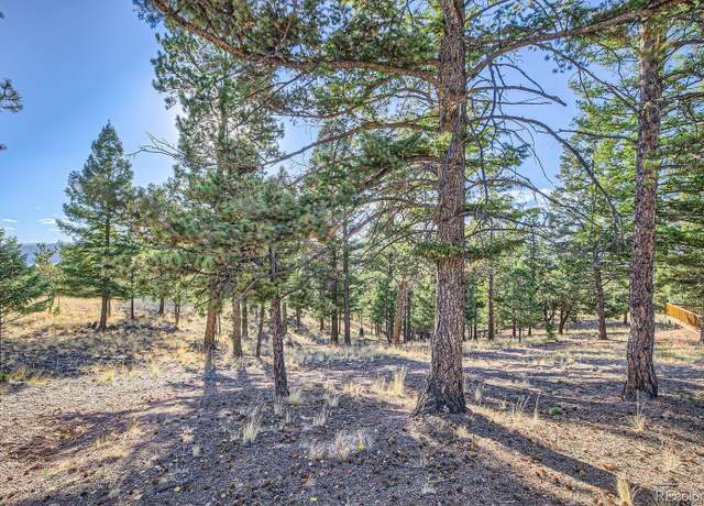 Property at 37 Amanda Cir, Florissant, CO 80816