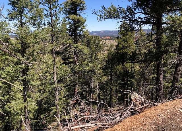 Property at 195 Osoeola Rd, Woodland Park, CO 80863