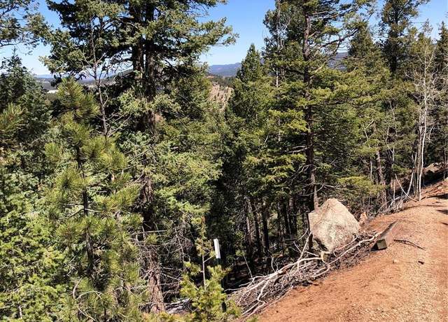 Property at 195 Osoeola Rd, Woodland Park, CO 80863