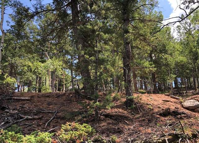 Property at 195 Osoeola Rd, Woodland Park, CO 80863