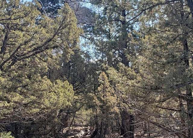 Property at Tract 2 Costilla Pl, Mosca, CO 81146