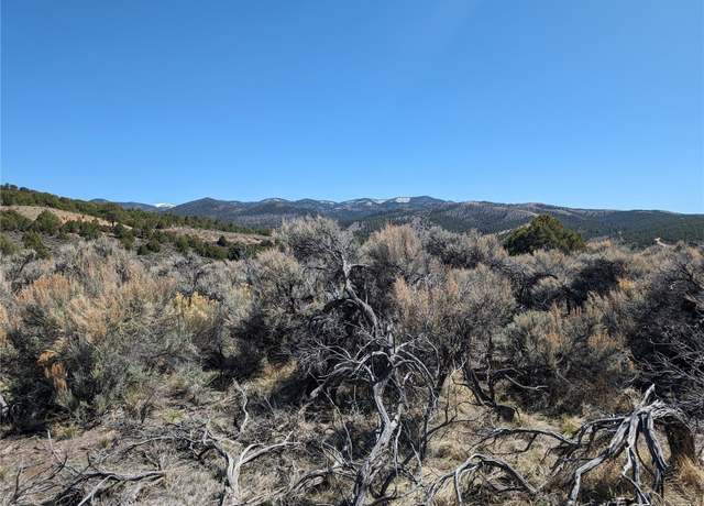 Property at Lot 7504 Boseman, Fort Garland, CO 81133
