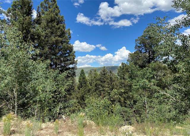 Property at Middle Frk, Fairplay, CO 80440