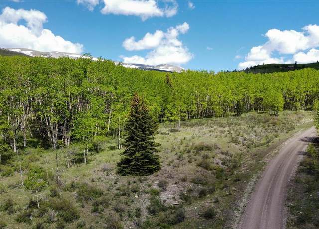 Property at 63 Pine Ridge Rd, Fairplay, CO 80440
