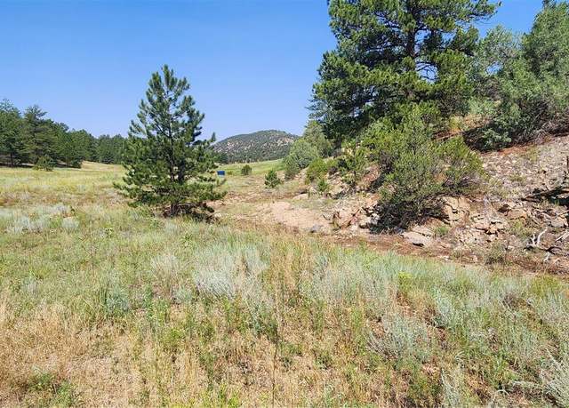 Property at 553 Coyote Run, Cotopaxi, CO 81223
