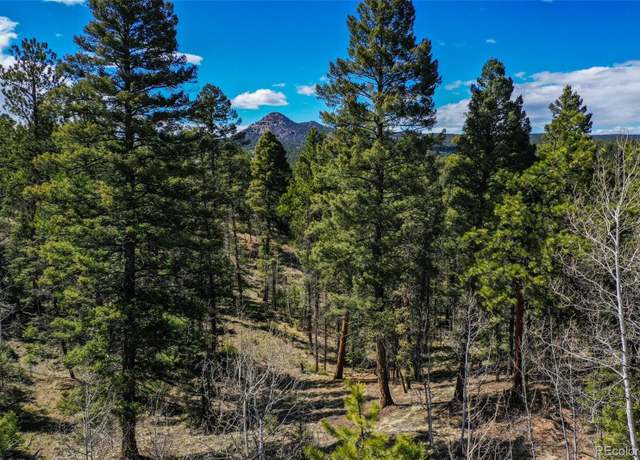 Property at 360 Tejon Creek Trl, Florissant, CO 80816