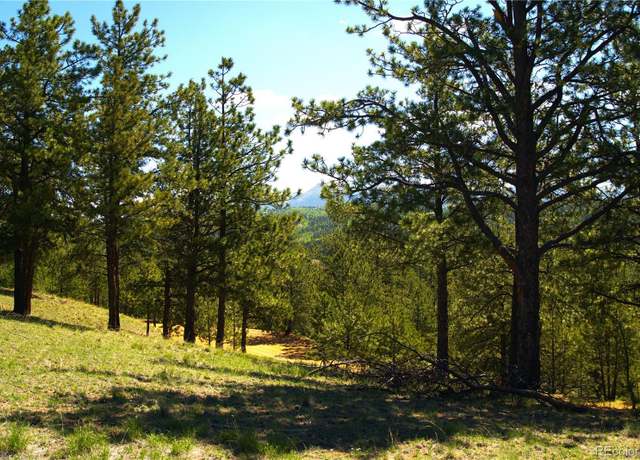 Property at 29 Dexter Cir, Cripple Creek, CO 80813