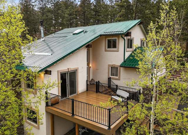 Property at 2169 Vigilante Ave, Bailey, CO 80421, 4 beds, 4 baths