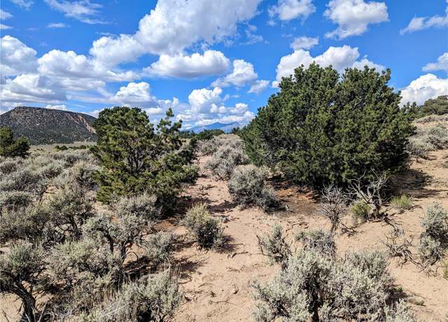 Property at Lot 663 Slegers Rd, Fort Garland, CO 81133