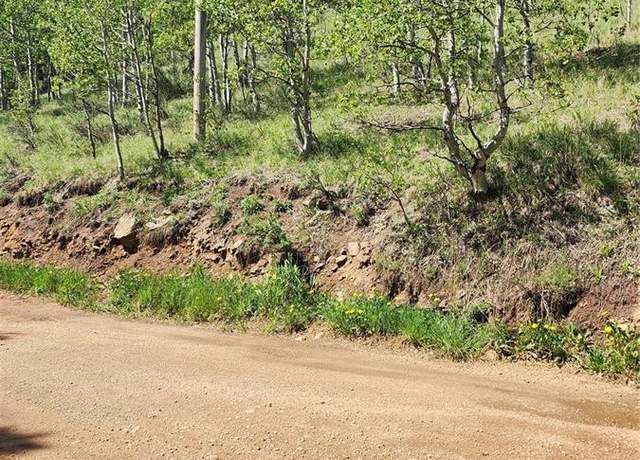 Property at 267 Ward St, Bailey, CO 80421