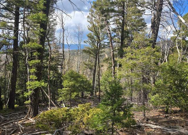 Property at Lot 5261 Scott Rd, Fort Garland, CO 81133