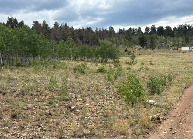 Property at 1625 Athapascan Rd, Hartsel, CO 80449