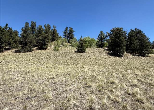 Property at 491 Abandoned Railroad, Fairplay, CO 80440