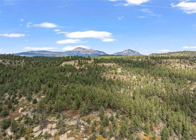 Property at 13490 Big Pine Ridge Rd, Weston, CO 81091