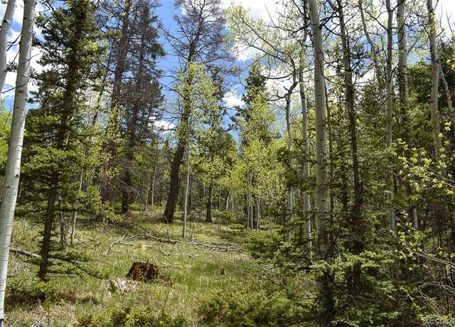 Property at 430 Timberline Dr, Guffey, CO 80820