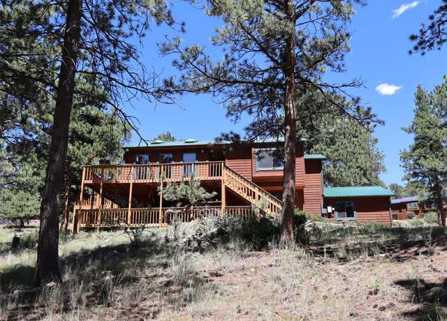 Property at 917 Bluebird Ln, Bailey, CO 80421, 3 beds, 3 baths