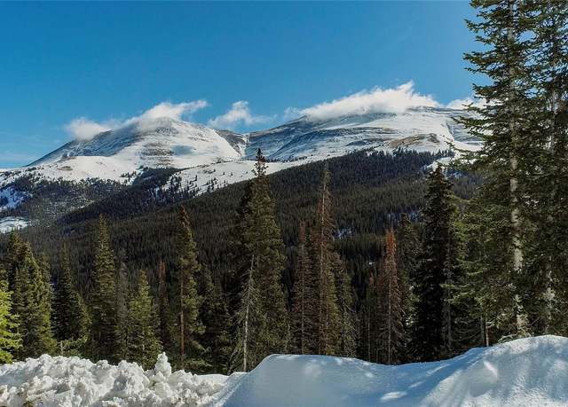 Property at 434 Carroll Ln, Breckenridge, CO 80424