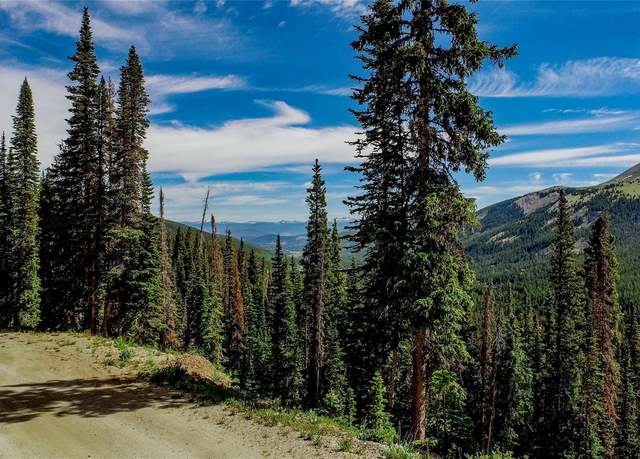 Property at 434 Carroll Ln, Breckenridge, CO 80424