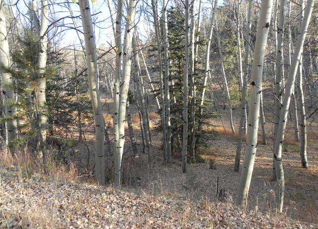 Property at 430 Pinon Ln, Florissant, CO 80816
