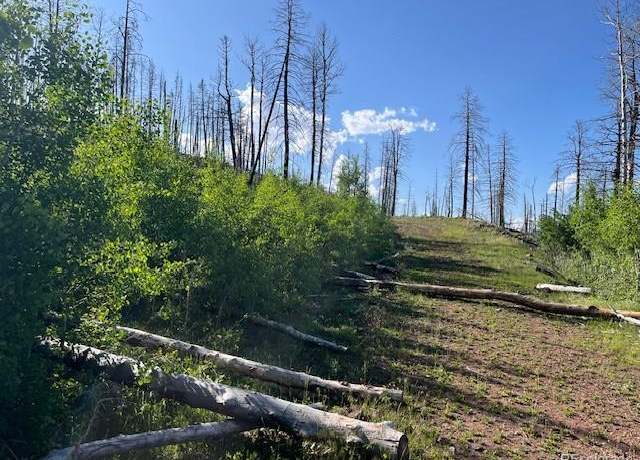 Property at Lot 835 Slaoui Pl, Fort Garland, CO 81133