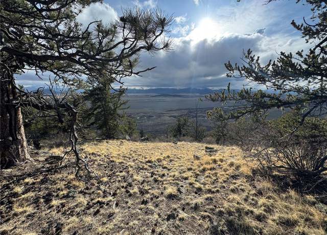 Property at 4513 Middle Fork Vis, Fairplay, CO 80440