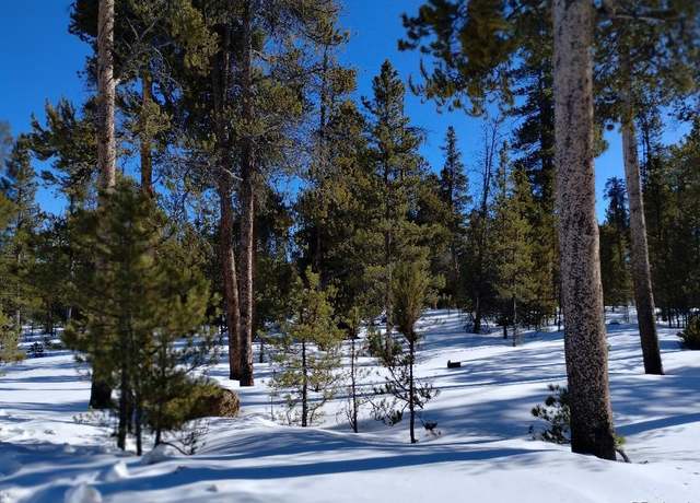 Property at 416 Cedar Dr, Leadville, CO 80461