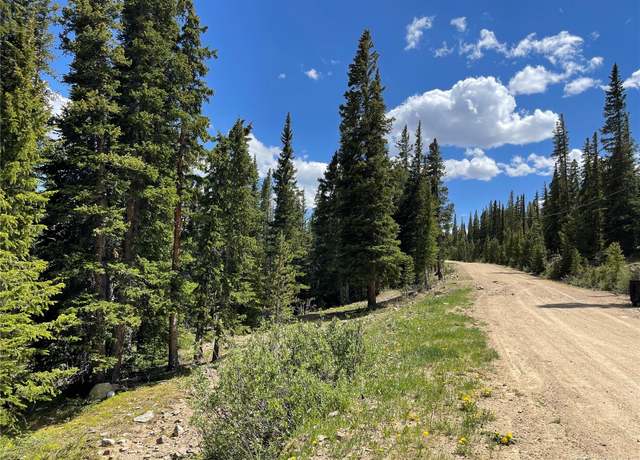 Property at 252 Silverheels Pl, Fairplay, CO 80440