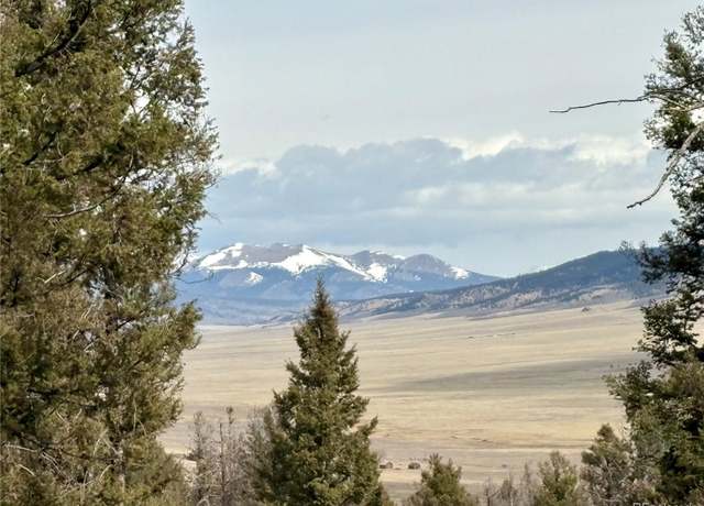 Property at 1445 Redhill Rd, Fairplay, CO 80440
