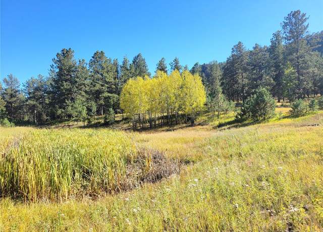 Property at 3032-4 County Road 12, Florissant, CO 80816